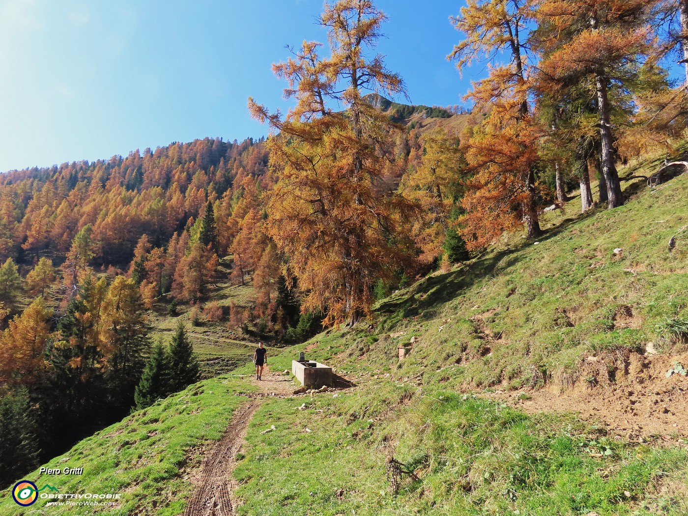 38 Splendenti colori autunnali dei larici.JPG